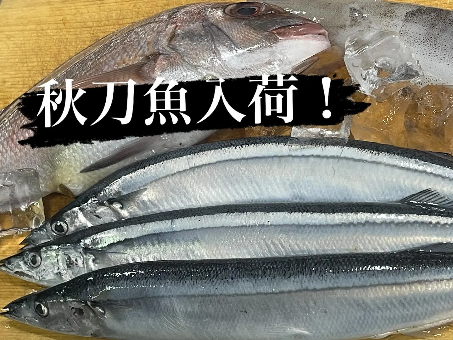 本日秋刀魚入荷しました！